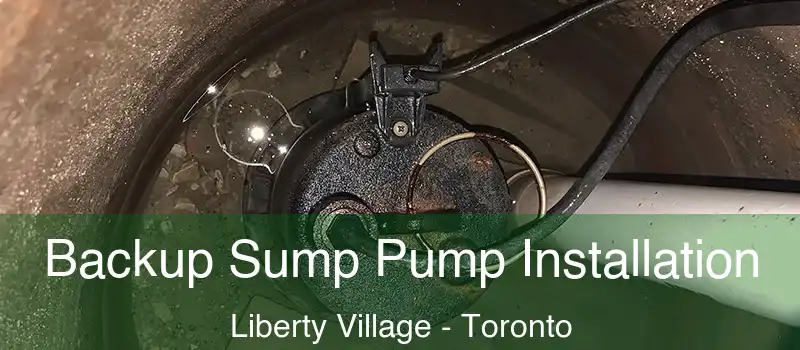  Backup Sump Pump Installation Liberty Village - Toronto