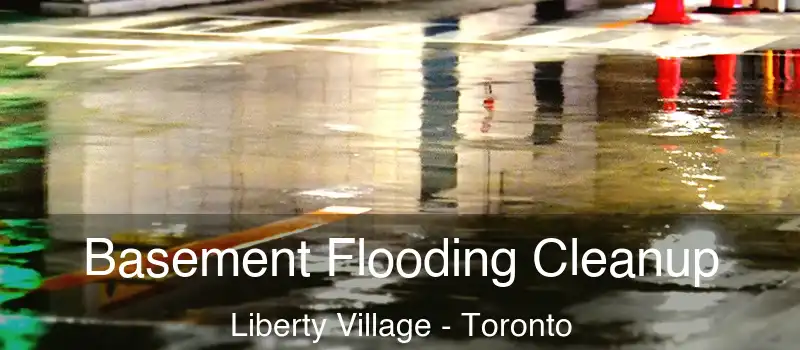  Basement Flooding Cleanup Liberty Village - Toronto