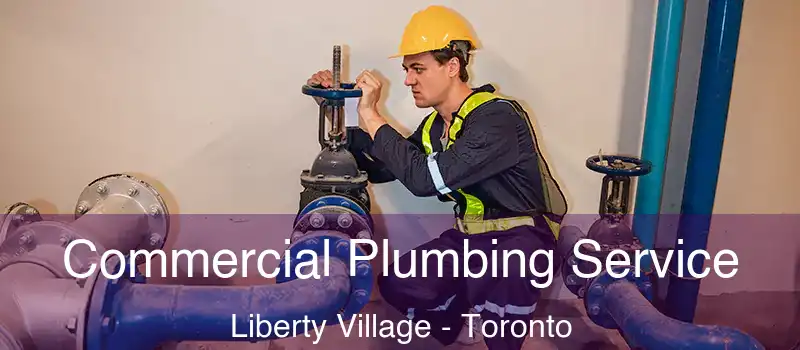 Commercial Plumbing Service Liberty Village - Toronto