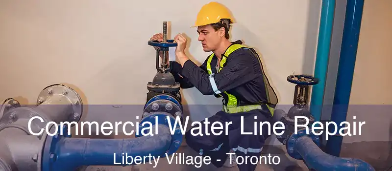  Commercial Water Line Repair Liberty Village - Toronto