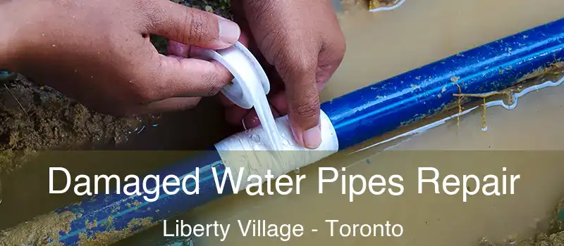  Damaged Water Pipes Repair Liberty Village - Toronto