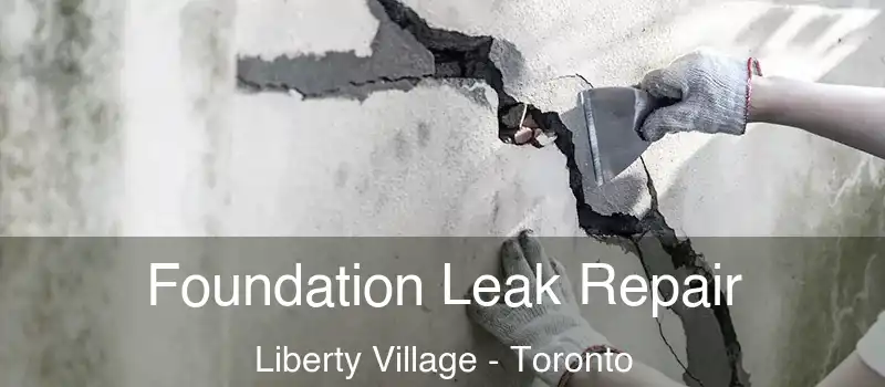  Foundation Leak Repair Liberty Village - Toronto