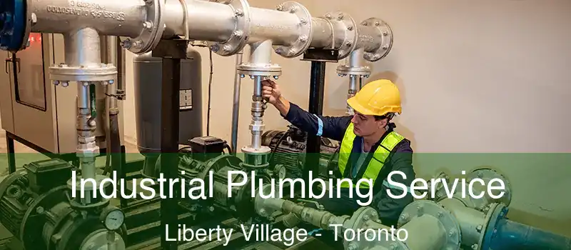 Industrial Plumbing Service Liberty Village - Toronto