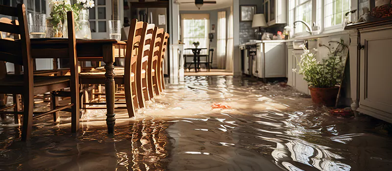 Flooded House Help Near Me in Liberty Village, Toronto