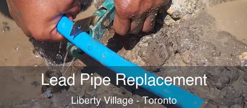  Lead Pipe Replacement Liberty Village - Toronto