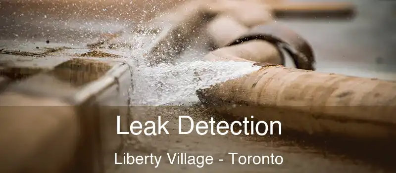  Leak Detection Liberty Village - Toronto