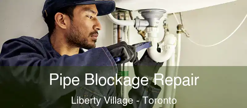 Pipe Blockage Repair Liberty Village - Toronto