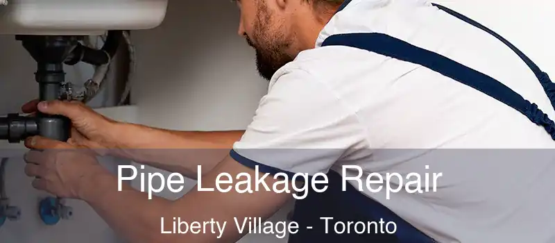  Pipe Leakage Repair Liberty Village - Toronto