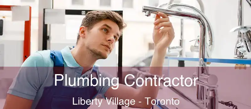  Plumbing Contractor Liberty Village - Toronto