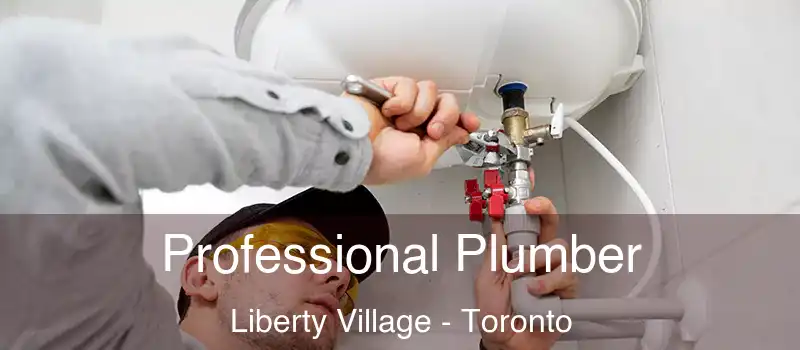 Professional Plumber Liberty Village - Toronto