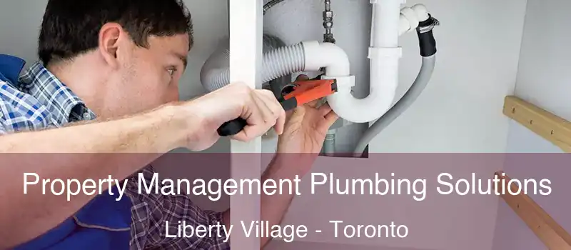 Property Management Plumbing Solutions Liberty Village - Toronto