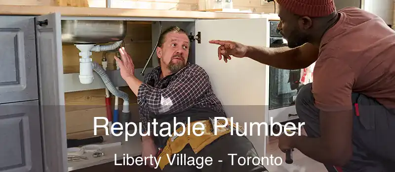 Reputable Plumber Liberty Village - Toronto