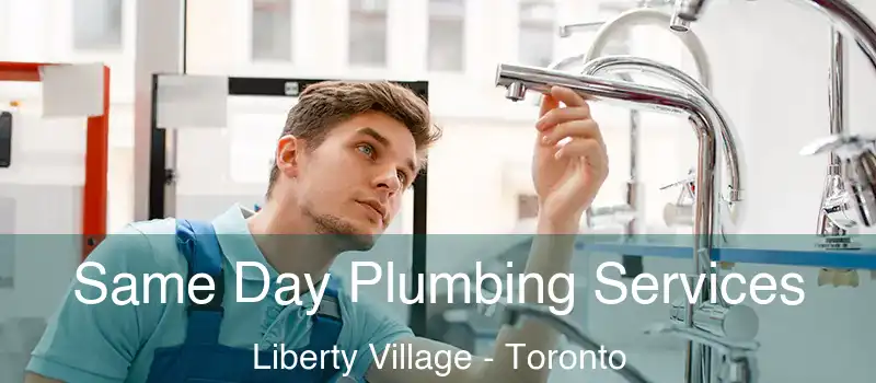  Same Day Plumbing Services Liberty Village - Toronto