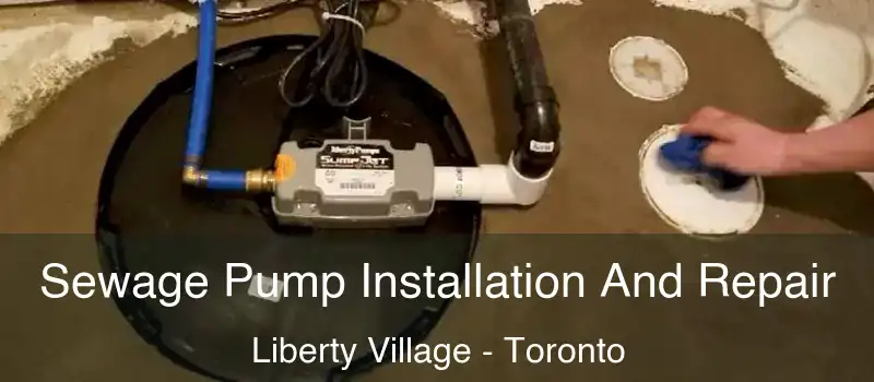  Sewage Pump Installation And Repair Liberty Village - Toronto