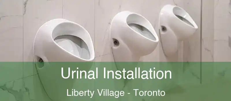  Urinal Installation Liberty Village - Toronto