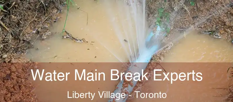  Water Main Break Experts Liberty Village - Toronto