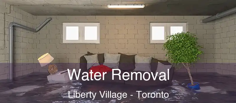  Water Removal Liberty Village - Toronto