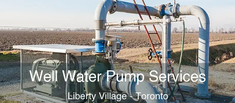 Well Water Pump Services Liberty Village - Toronto